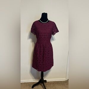 LOFT Red Sheath Mini Dress Crew Neck Short Sleeve